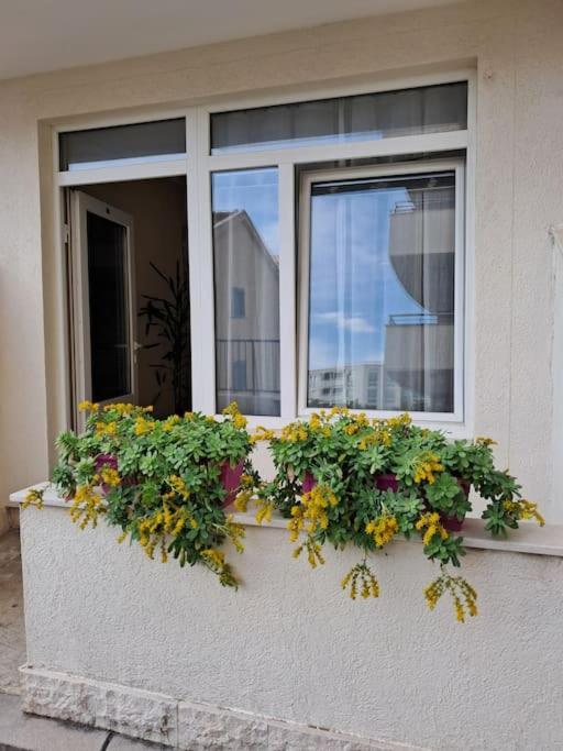 Holiday Home Apartment Budva Exterior photo